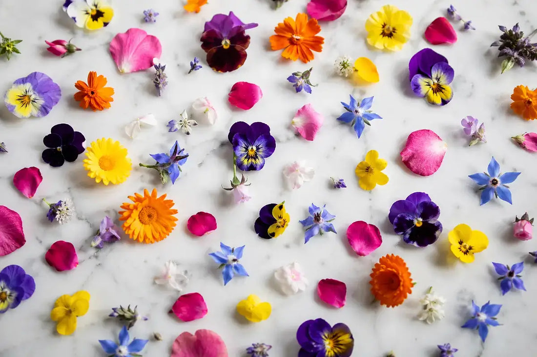 Assorted fresh edible flowers on marble surface showing how long edible flowers last