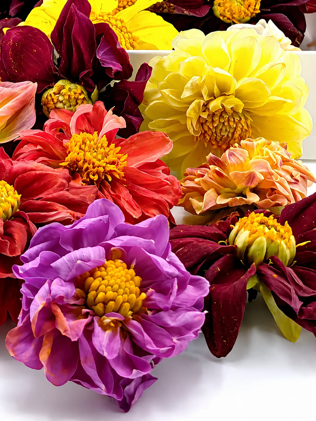 Freeze-Dried Edible Mums, Cosmos and Dahlias