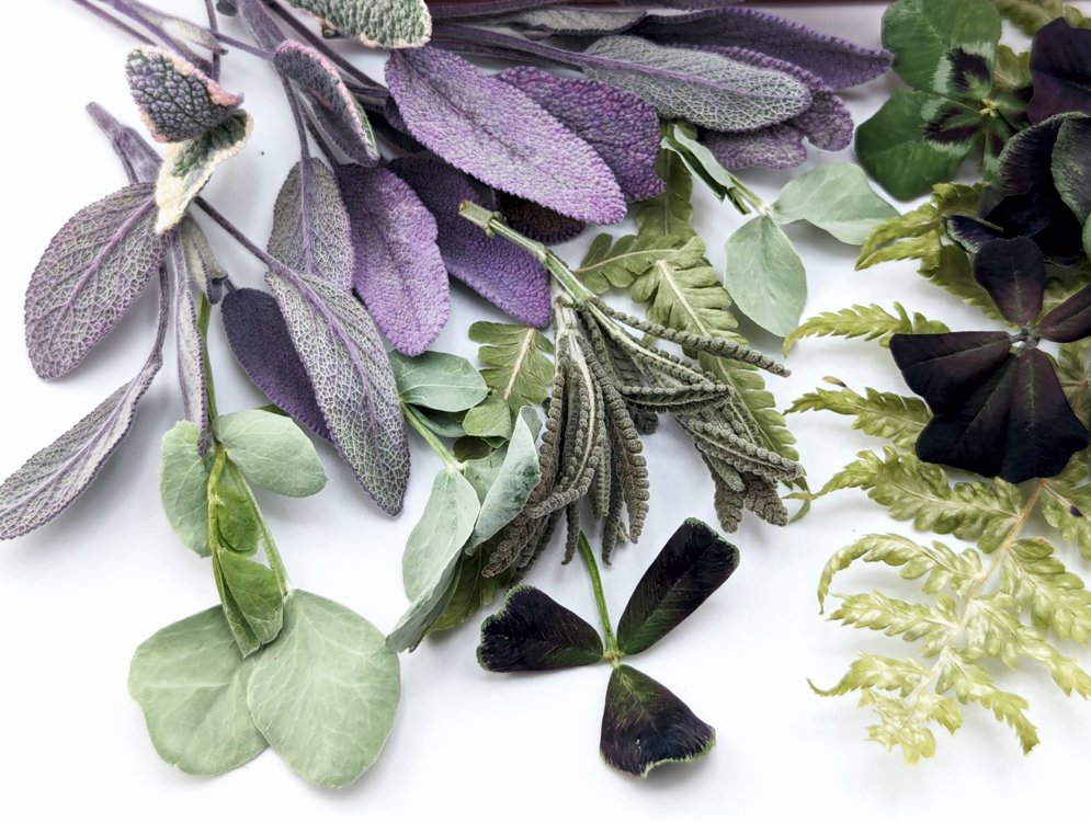 Freeze-Dried Edible Mixed Leaves