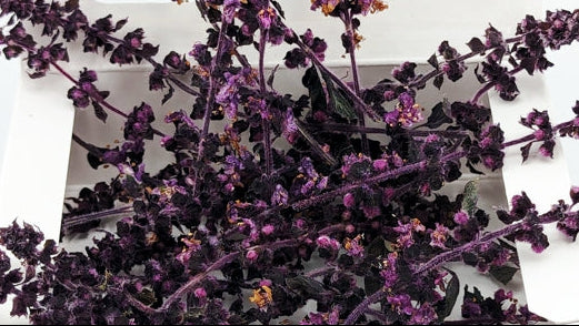Freeze-Dried Edible Basil Flowers